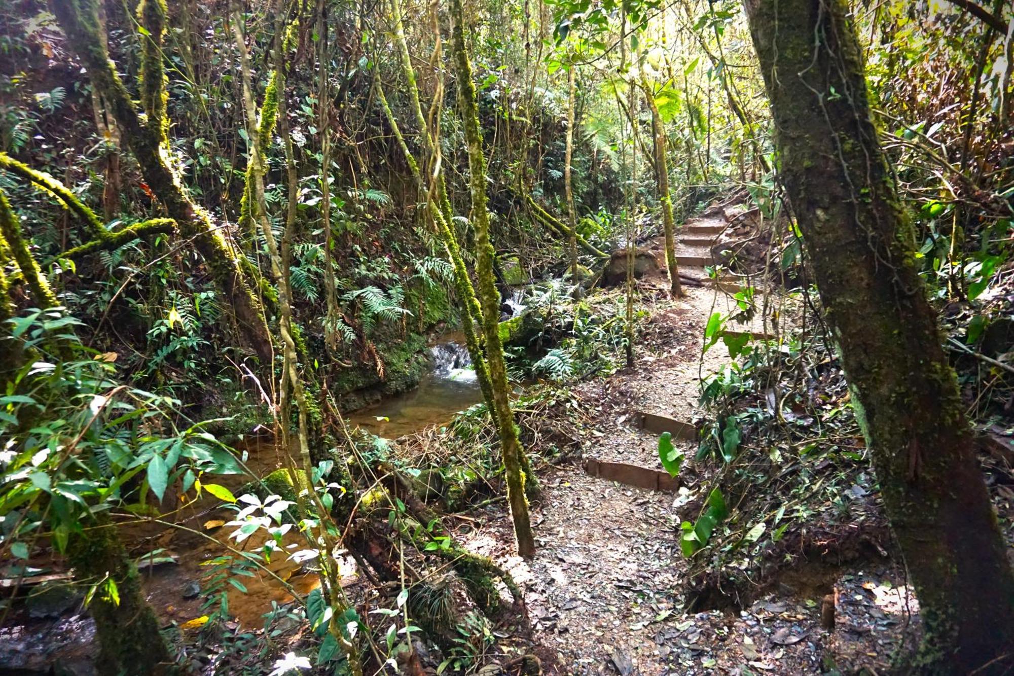 סנטה אלנה Encanto Minicasitas En Medio De La Naturaleza מראה חיצוני תמונה