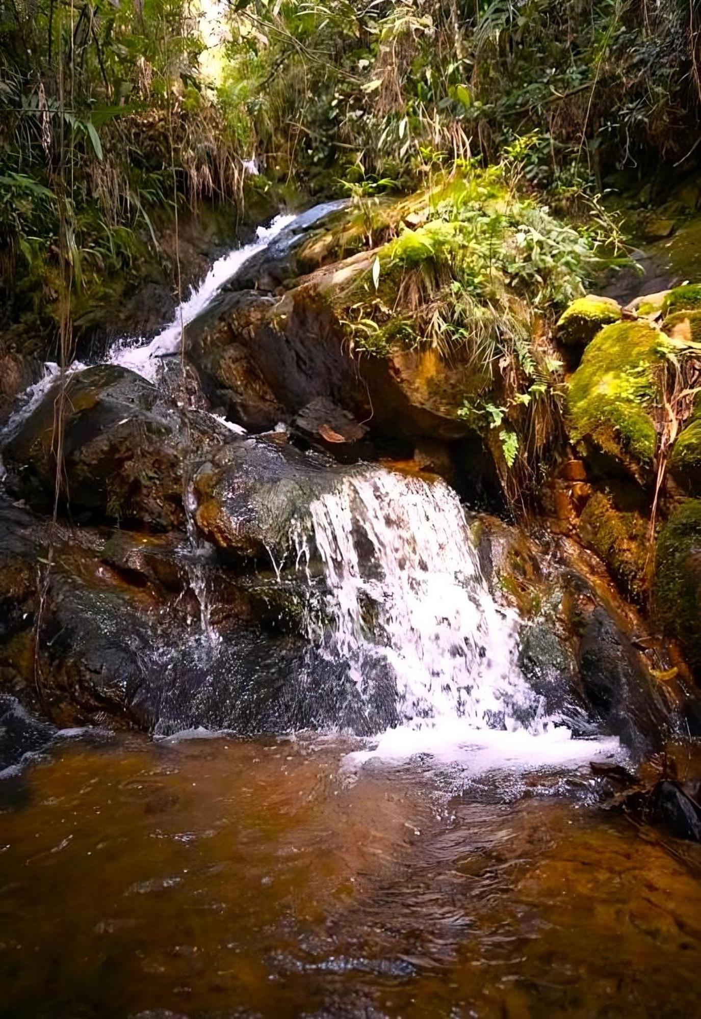 סנטה אלנה Encanto Minicasitas En Medio De La Naturaleza מראה חיצוני תמונה