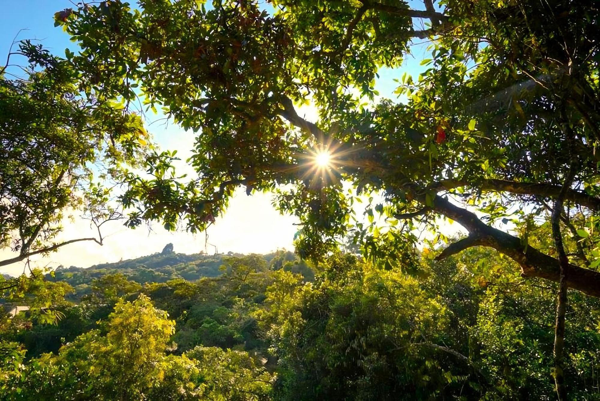 סנטה אלנה Encanto Minicasitas En Medio De La Naturaleza מראה חיצוני תמונה