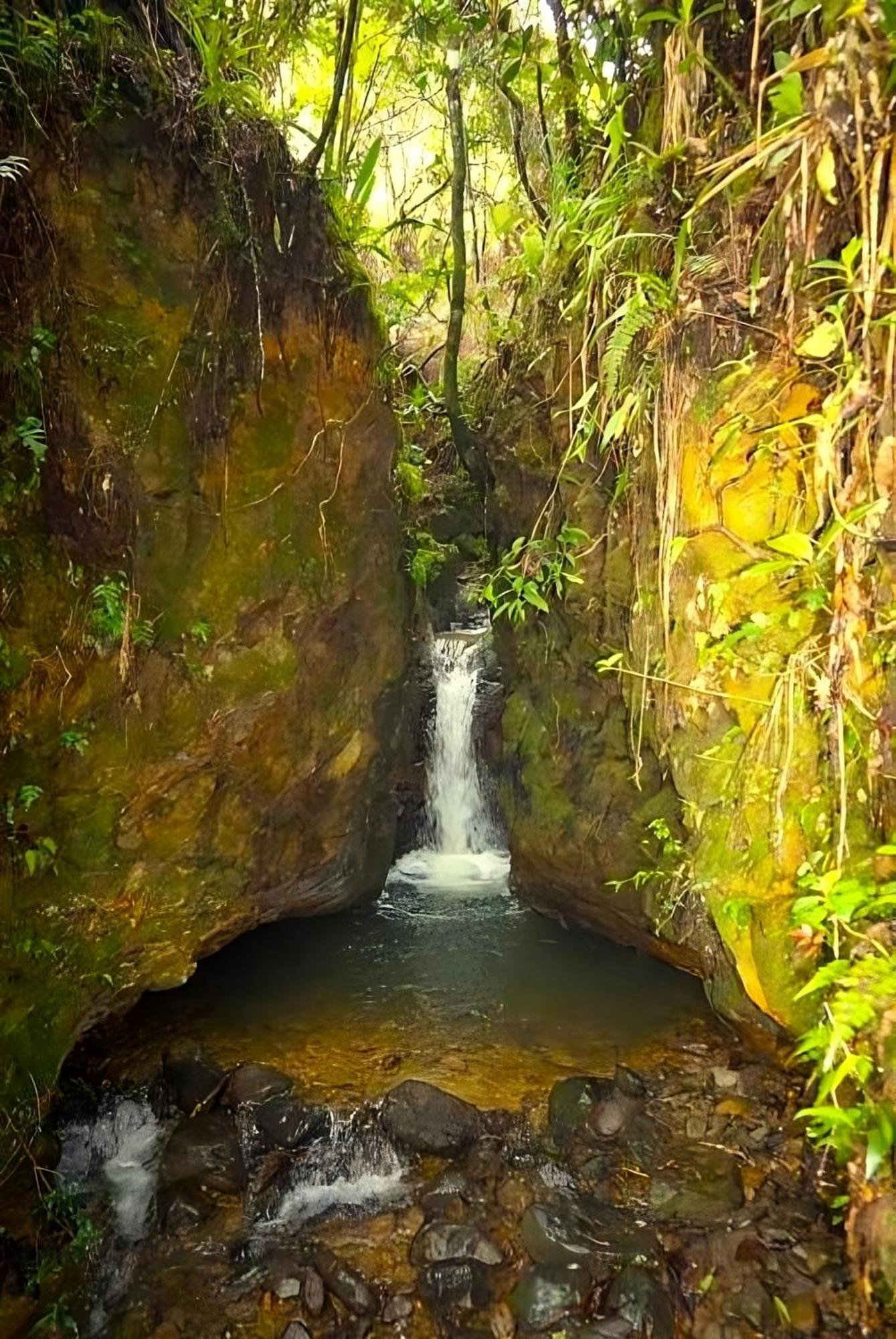סנטה אלנה Encanto Minicasitas En Medio De La Naturaleza מראה חיצוני תמונה